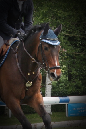 Xemerius
